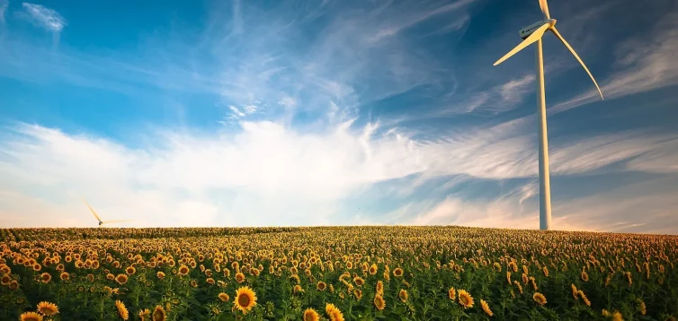 ea-annual-report-cover-accreditation-sustainability-