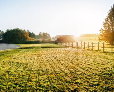 Sunrise over misty grassland with wooden fence in the foreground.